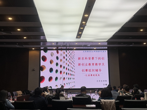 北京農學院創(chuàng)新創(chuàng)業(yè)學院副院長孫曦分享.jpg