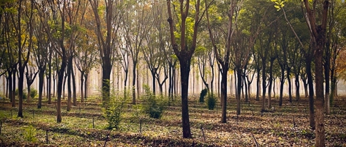 圖像2023-12-28 21.41 (6).jpg