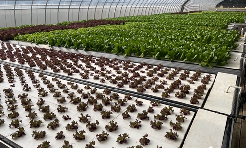 圖像2024-1-4 10.15 (4).jpg