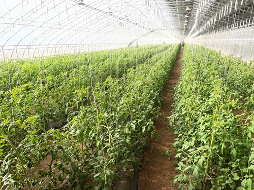 圖像2024-1-4 10.15 (3).jpg