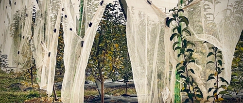 圖像2024-1-4 10.15 (11).jpg