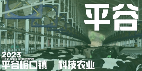 圖像2023-12-28 21.40 (6).jpg