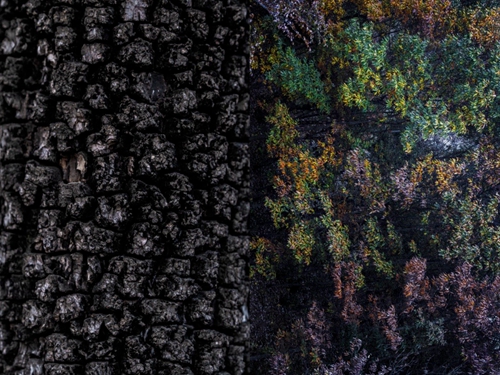 圖像2023-12-28 21.40 (1).jpg