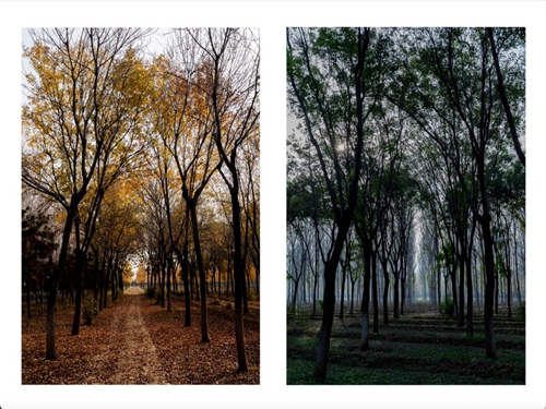 圖像2024-1-4 10.14 (2).jpg