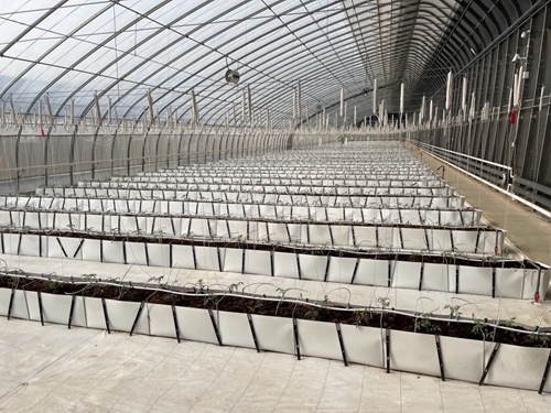 圖像2024-1-4 10.15 (6).jpg