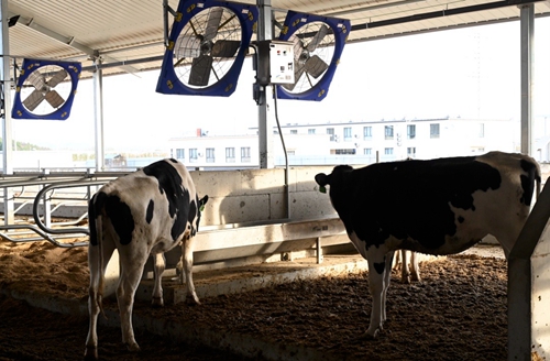 圖像2024-1-4 10.15 (16).jpg